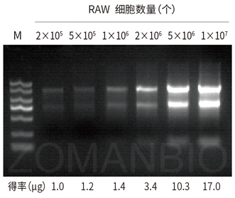 23 ZP433圖3.jpg 圖片