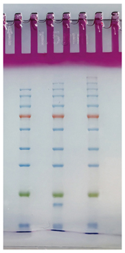 23.7.19 12%膠圖.jpg 圖片